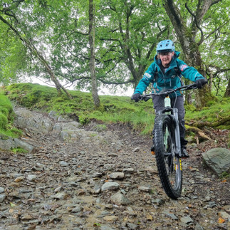 montain biker in forest