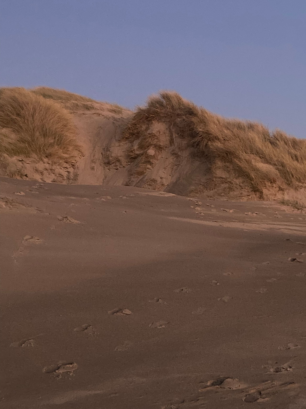 Sand dunes harlech face 