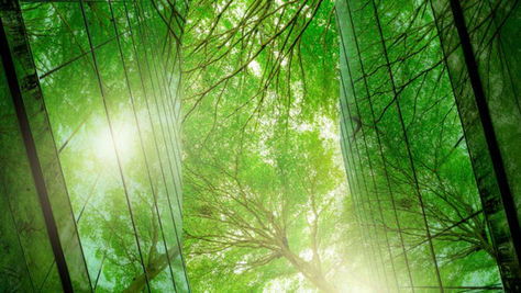 Building with green trees