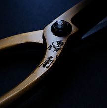 20210123-GFX12040 のコピー.jpg