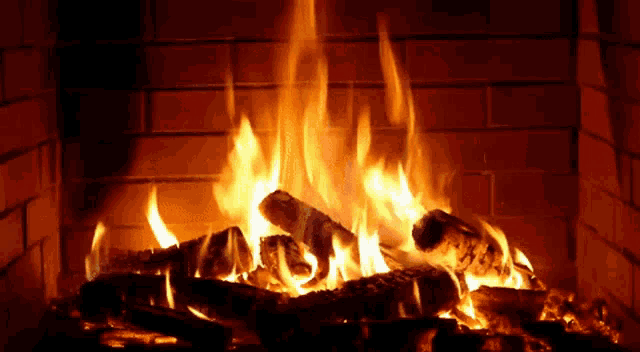 Chimney Cleaning Newfoundland | Home | Professional Chimney Services Ltd