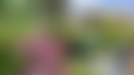 Calendrier du jardinier : Janvier - Février