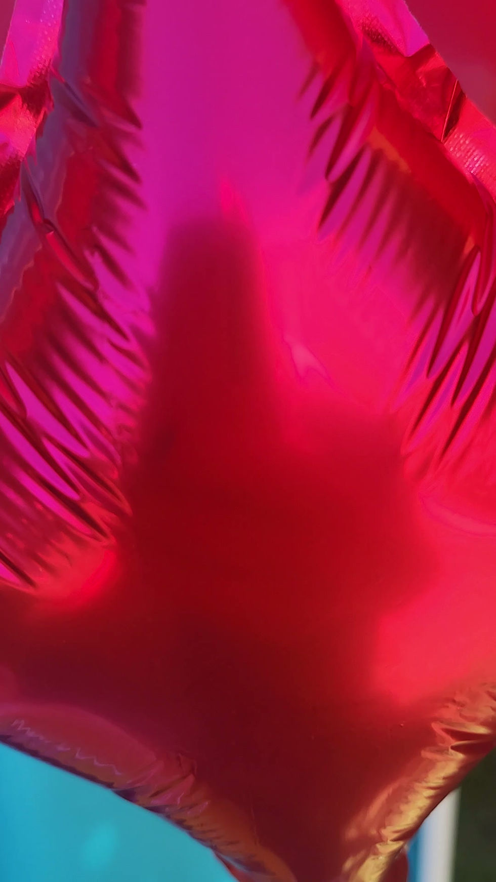 anniversaire pat patrouille.mp4