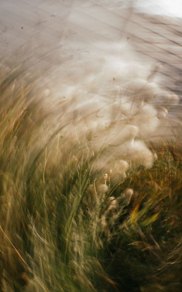 Indulgent Aesthetic.jpg