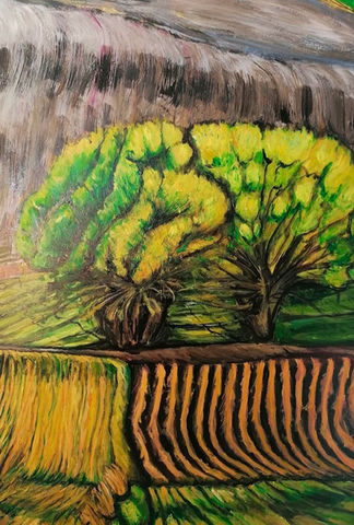 Shadow of the Willows