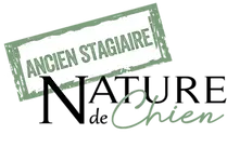 Logo Ancienne Stagiaire Nature de Chien