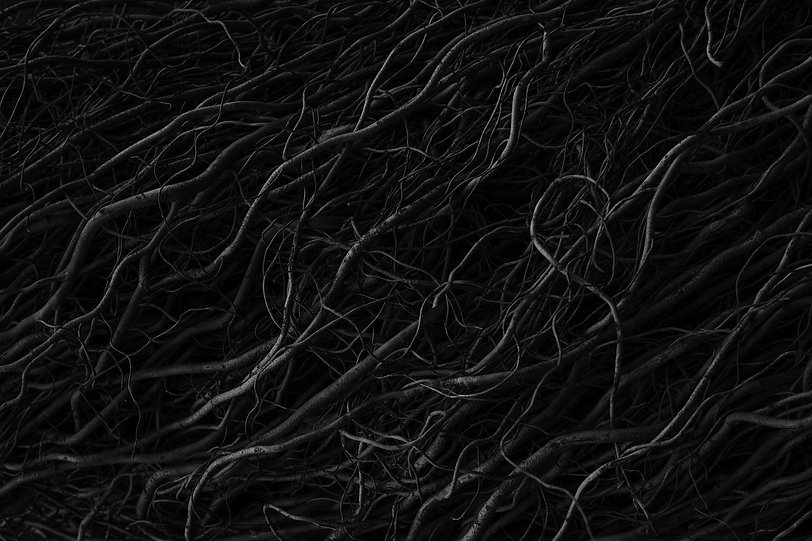 AdobeStock_294607089.jpeg