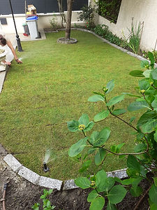 20200512_154549.jpg