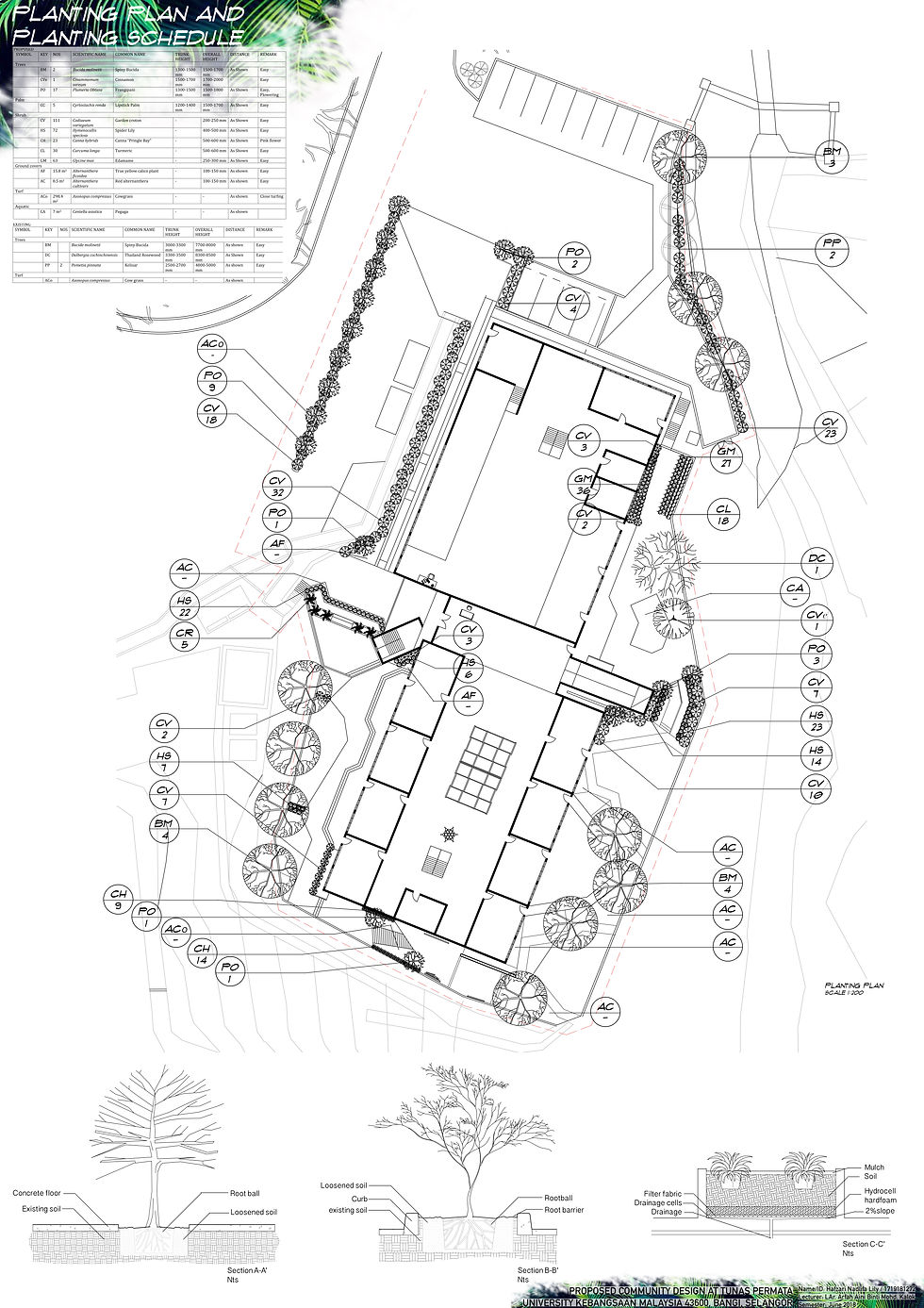 planting plan redo lagi 