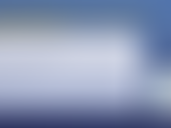 Constructive Outlook for Risk Assets Amid a Shifting Market Cycle