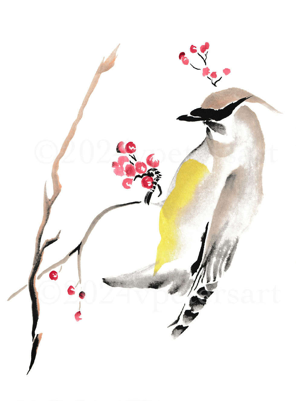 Thumbnail: Cedar Waxwing w Berries | Bird Art Print