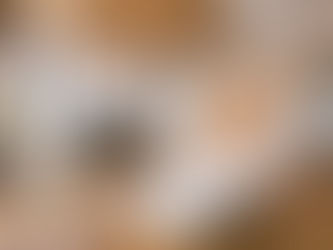 ハウスオブファンのワクワクなところ!