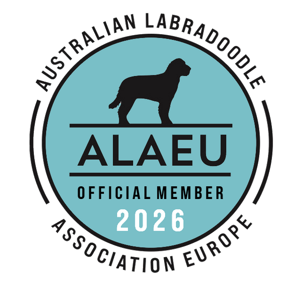 ALAEU logo 2026 transparant (002).png