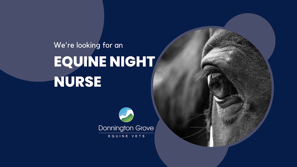 Registered Veterinary Nurse - Equine (Nights)