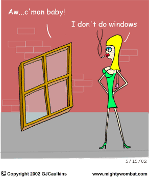 window