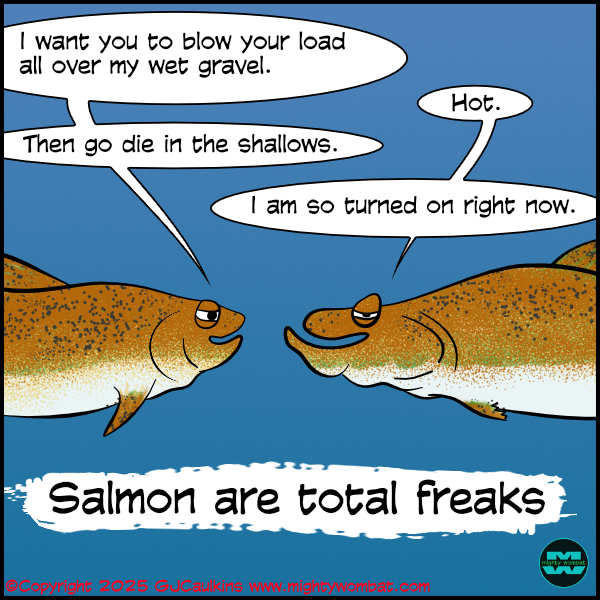 salmon_freaks_small