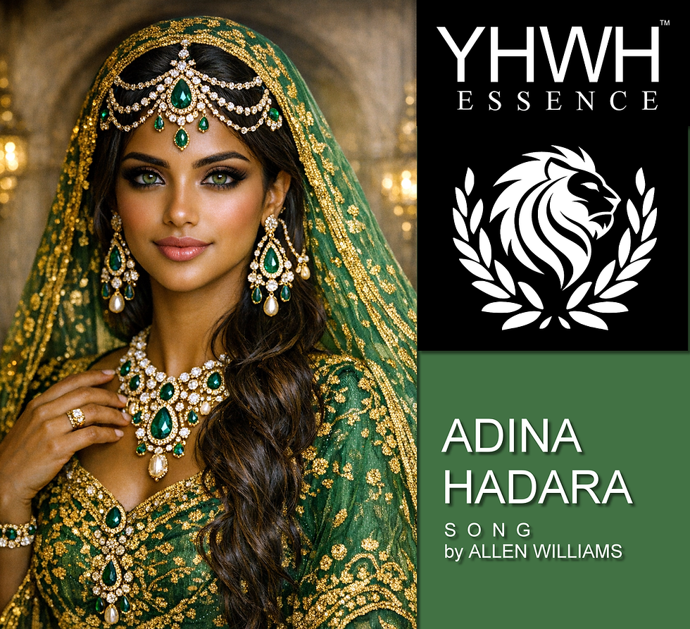 ADINA (SONG COVER).png