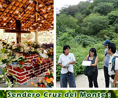 Recoridos
