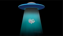 Screenshot 2024-02-12 at 12.22.51 PM