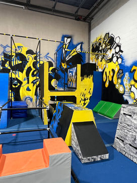 Yellow Jackets Gyms - NINJA