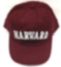 Harvard Hat