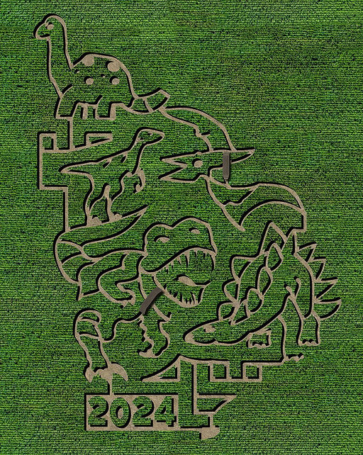 Connors Farm Corn Maze