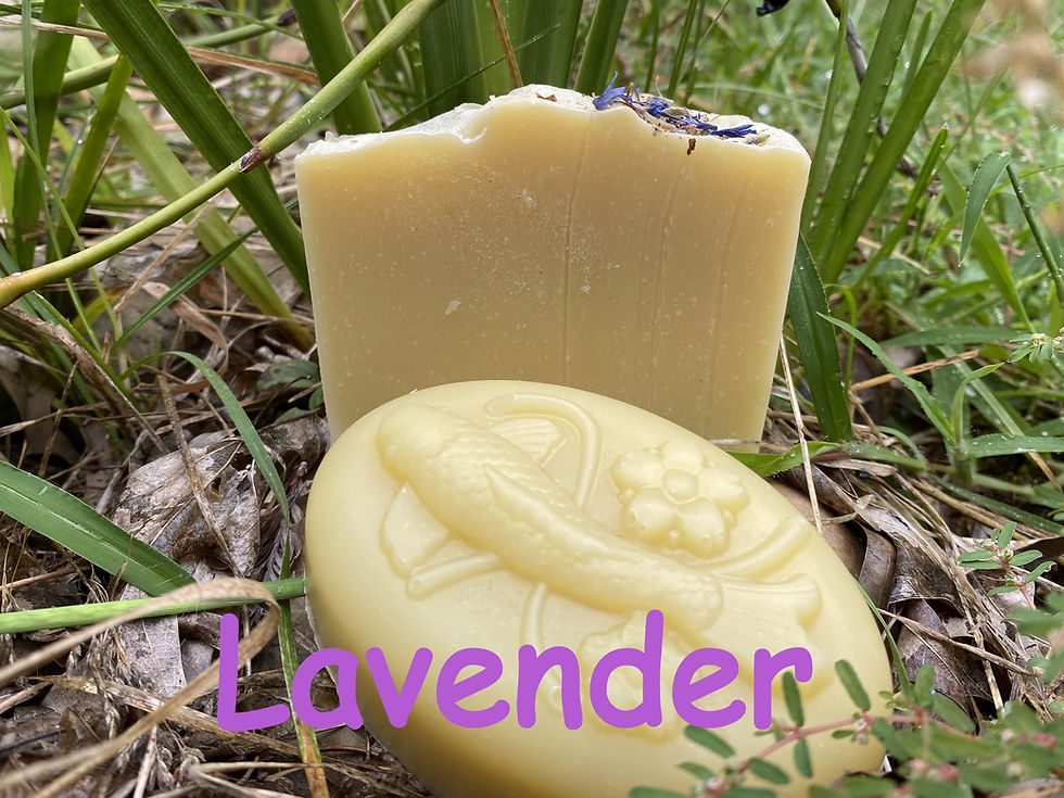 Thumbnail: Coconut Milk Soap
