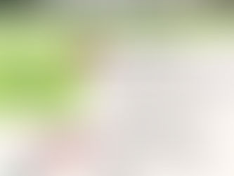 Eksamenvoorbereiding vir Laerskoolleerders: Hoe leer ’n mens vir Wiskunde sonder om mal te raak -