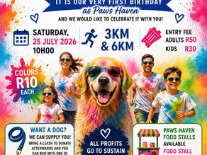 Paws Haven Celebrates First Birthday with a Splash of Colour