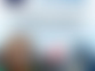 Paws Haven Plans a Festive Day for Furry Friends - 16 December