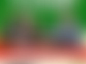 Eden’s Christmas Market Moves Indoors This Year - 28 November