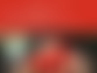 Calling All Wrap Kings and Queens: Help the Animals 16 - 24 December