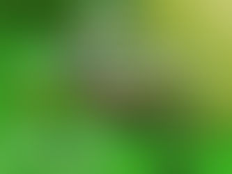 Die Wilge Strongman – Potchefstroom se kragdag - 30 Augustus