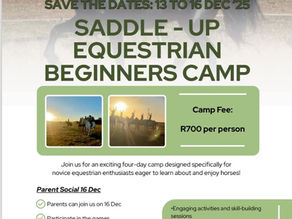 Saddle Up lines up a beginners’ horse camp for December - 13 to 16 December