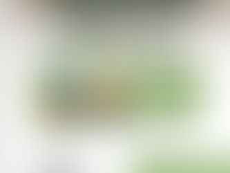 Saddle Up lines up a beginners’ horse camp for December - 13 to 16 December