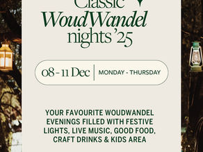 WoudWandel 2025: Three Nights, Three Moods and a Whole Lot of Lights