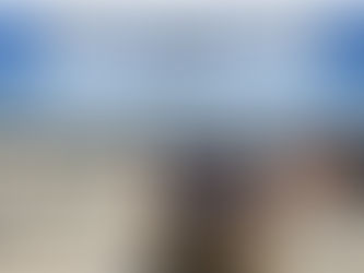 Midwest Model Club First Event Of The Year: A Fly-In With a Twist - 24 May