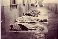 63_1_fratelli sui cart.JPG