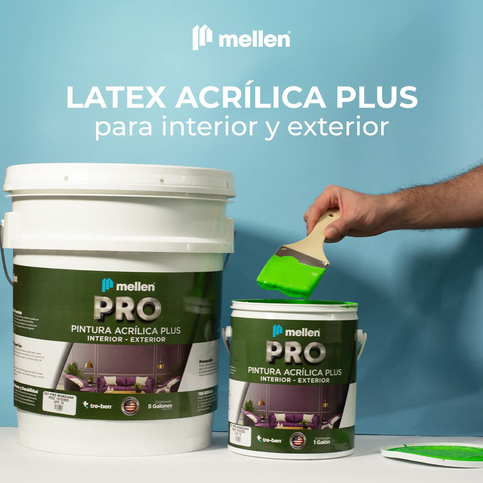 Cubeta Latex Acrílica interior y exterior PRO