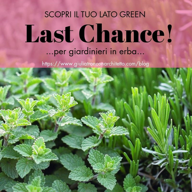 LAST CHANCHE!...per giardinieri in erba...scopri il tuo lato Green