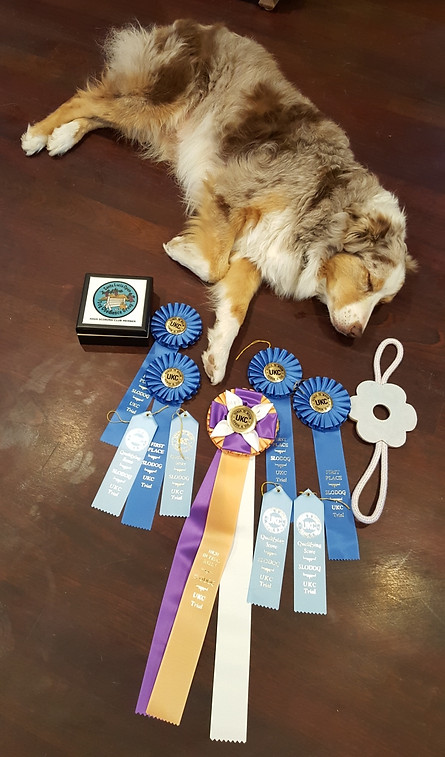 Resized_20150927_172850_2603926564609074.jpeg