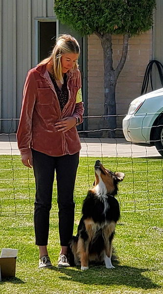 Porter and Sydney showing in Rally Obedience