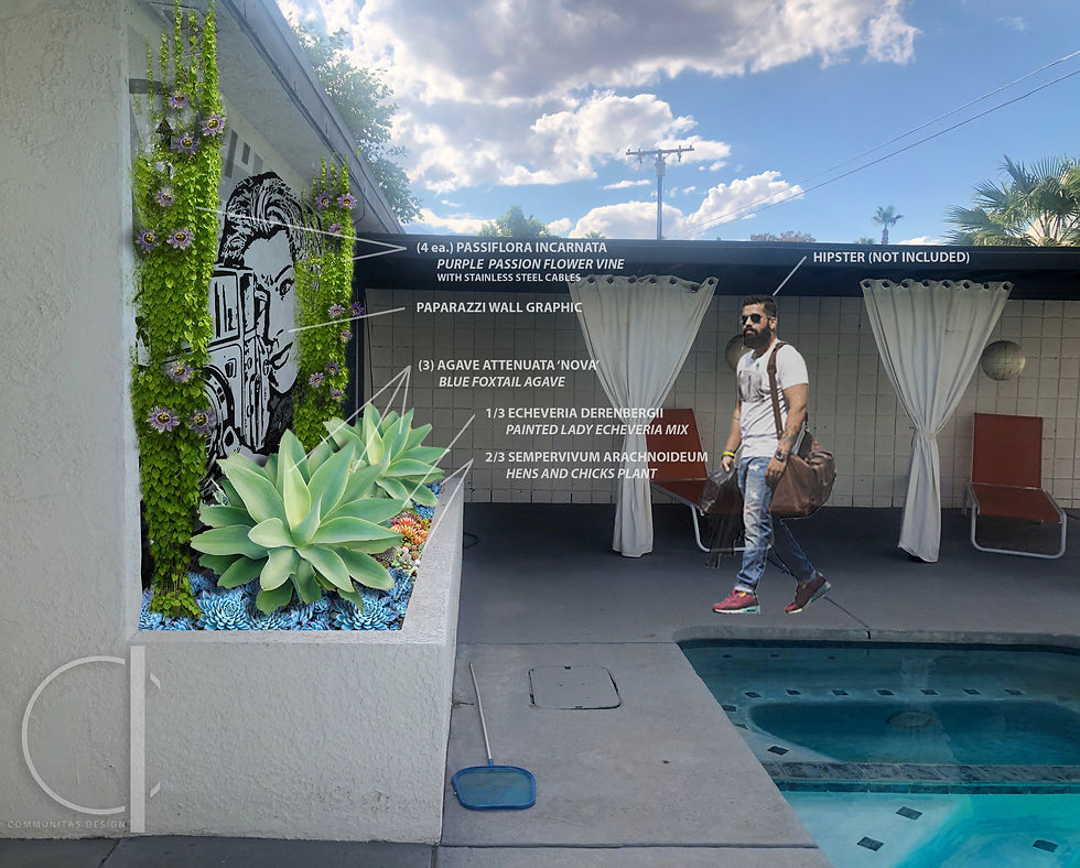 Palm Springs Residence Perspective 1