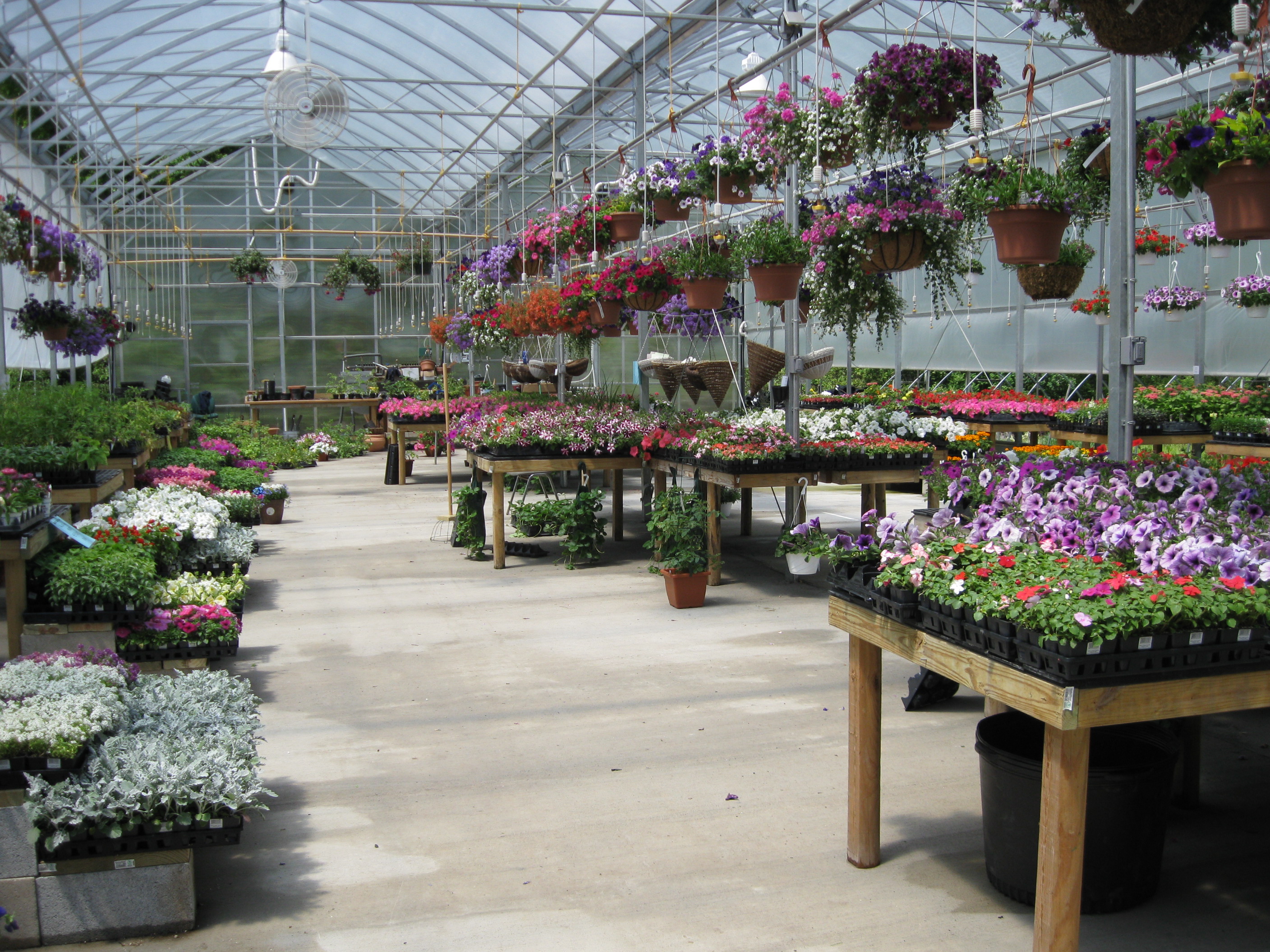 Kent Countryside Nursery Kent Countryside Nursery Offering