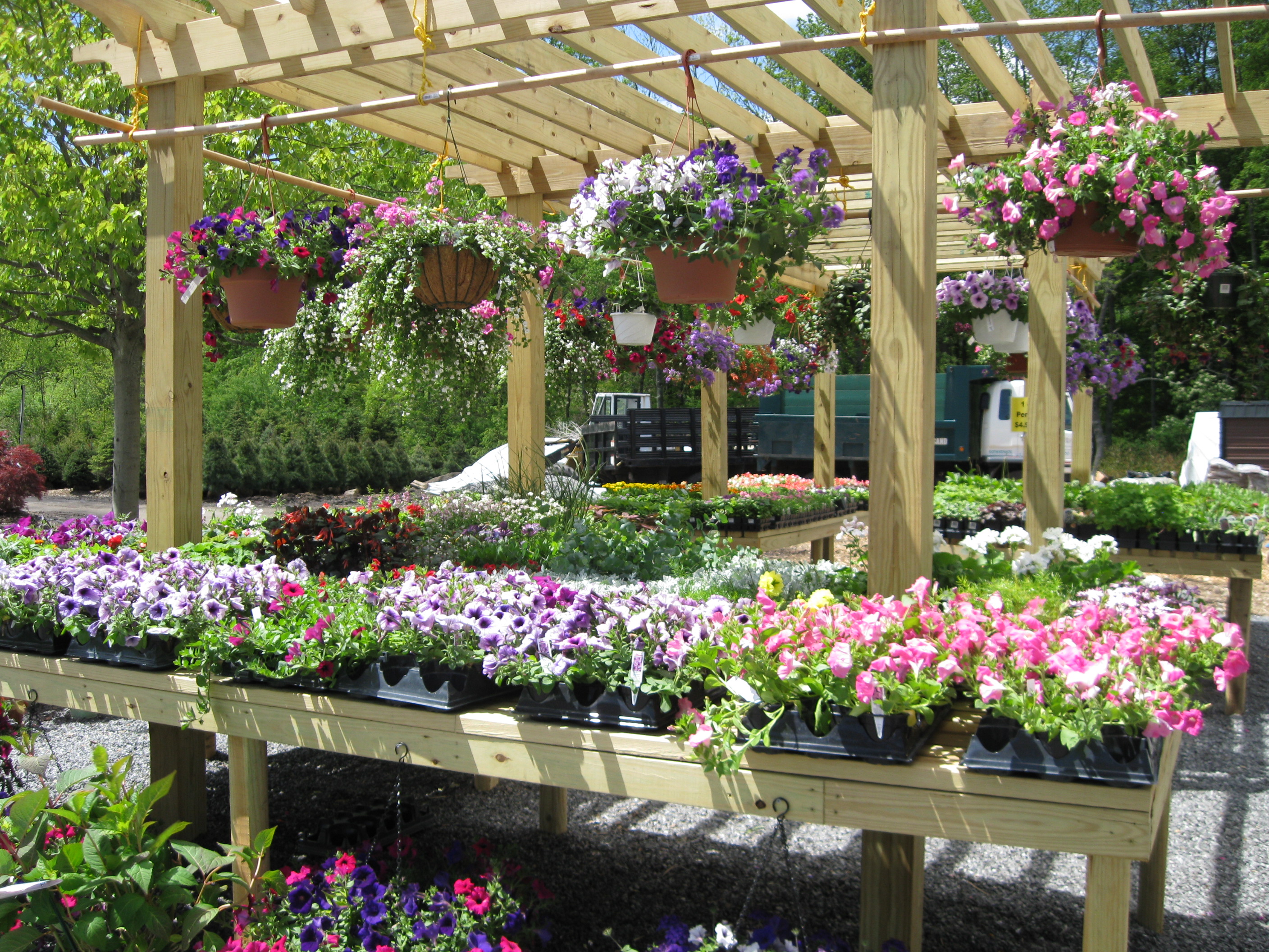 Kent Countryside Nursery Kent Countryside Nursery Offering