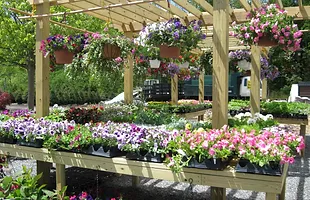 Kent Countryside Nursery Landscaping Home Kent Countryside Offers A Full Line Of Nursery And Landscaping Services