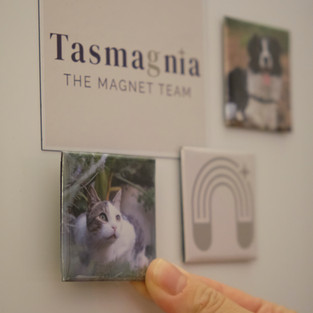 Tasmagnia