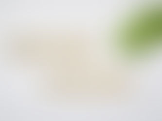 Developing a Children's Mental Health Service System