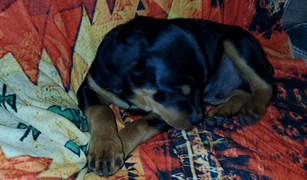 COLLAGE_20211120_153337.jpg