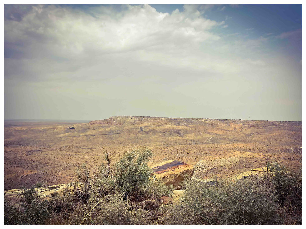 Du sommet sacré de la Mesa Hopi, les plantes s'ancrent dans la pierre, témoins silencieux d'un paysage qui s'étend à l'infini. Ici, sous le regard des nuages voyageurs, la terre respire et raconte des millénaires d'histoires et de prières.